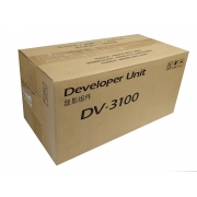 Скупка картриджей dv-3100 2LV93080 в Набережных Челнах